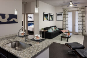 Furnished model apartments at Alexan Auburn Lakes showcase high-end features 9-foot ceilings and modern kitchens with granite countertops, 42-inch hardwood cabinetry, stone- or glass-tiled backsplashes and stainless steel appliances.
