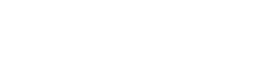 Nadig Newspapers logo