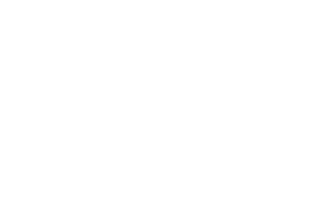 The Real Deal logo